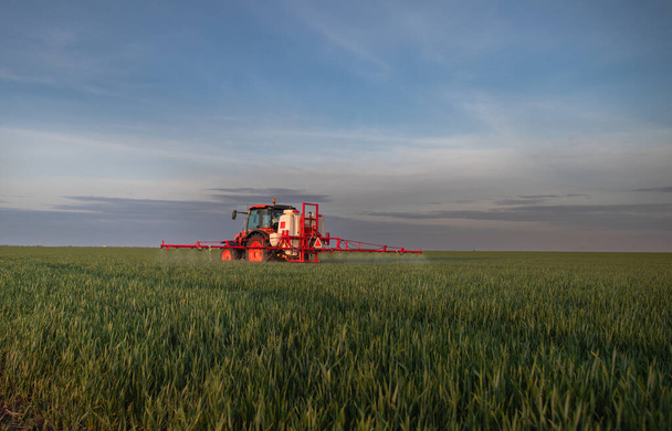 Traktor rozstřikuje pesticidy po zeleném poli - Fotografie, Obrázek