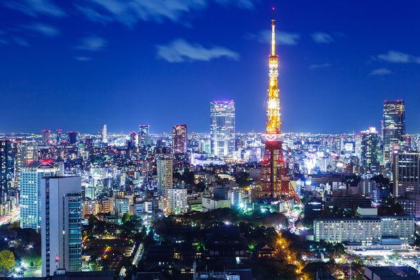 Prachtige nacht stadsgezicht van Tokio - Foto, afbeelding