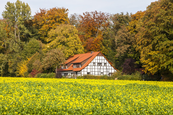 Timbered house in Bad Iburg, Osnabrück country, Lower Saxony, Germany, Europe - 写真・画像
