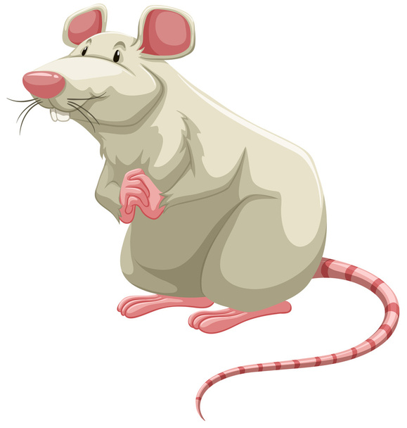 valkoinen rotta - Vektori, kuva