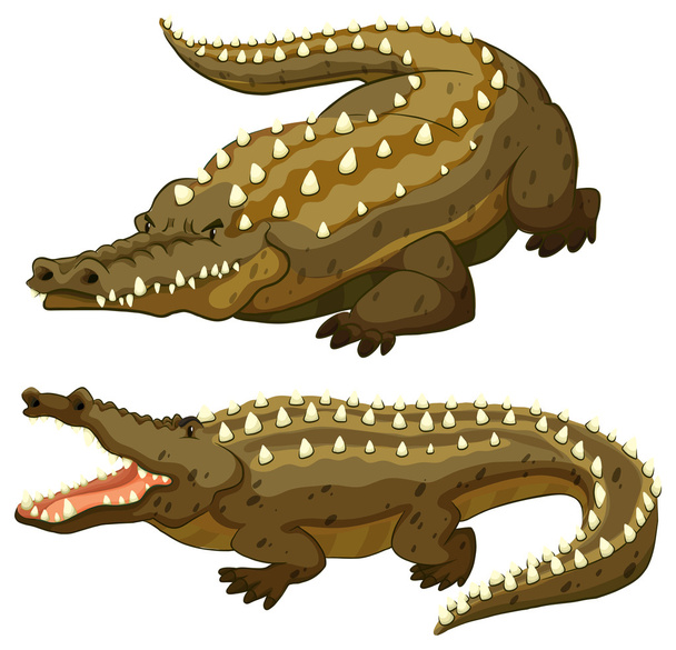 crocodile - Vecteur, image