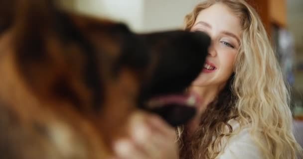 Girl, dog and pet with smile, happiness and bonding for therapy with service animal. Woman, love and friendship with german shepherd, together and couch in apartment or home living room with care. - Footage, Video