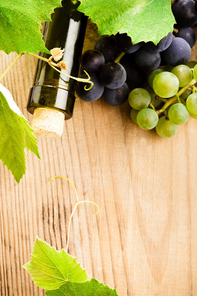 Wine and grape - Foto, Imagem