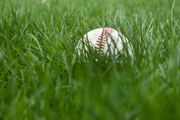 Baseball im Gras - Foto, Bild