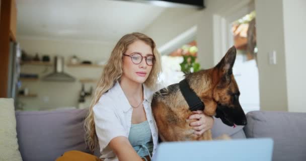 Γυναίκα, καναπές ή σκύλος σε φορητό υπολογιστή με γυαλιά στο σπίτι, elearning ή ζώο για την αγάπη. Γυναίκα φοιτητής ή καναπές με γερμανική Shepherd ή την τεχνολογία ή προδιαγραφές για την εκπαίδευση με το διαδίκτυο, online ή συνδεδεμένο. - Πλάνα, βίντεο