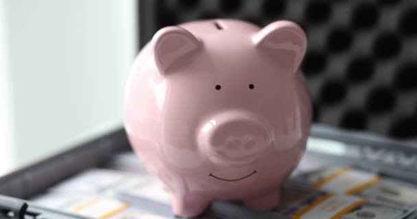 Rózsaszín malacpersely egy nyitott bőröndben, pénzzel, közeliben. Bankfelhalmozási számla koncepció, lassított mozgás - Felvétel, videó