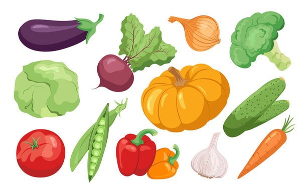 Свежие овощи, органический урожай, натуральный набор питательных ингредиентов. Баклажан, свекла, помидоры, капуста, лук, тыква, перец, морковь, горох и брокколи - Вектор,изображение