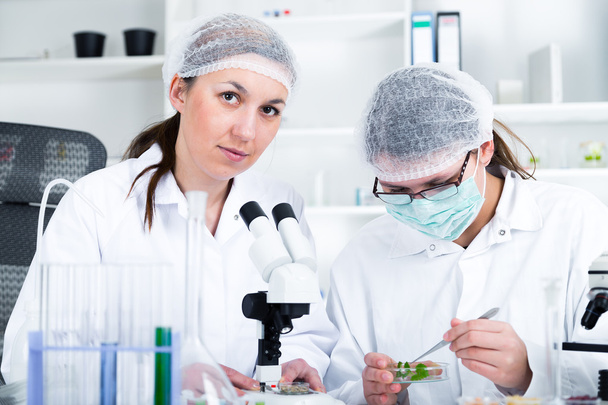 Tým vědců v laboratoři pracující na chemické testy - Fotografie, Obrázek