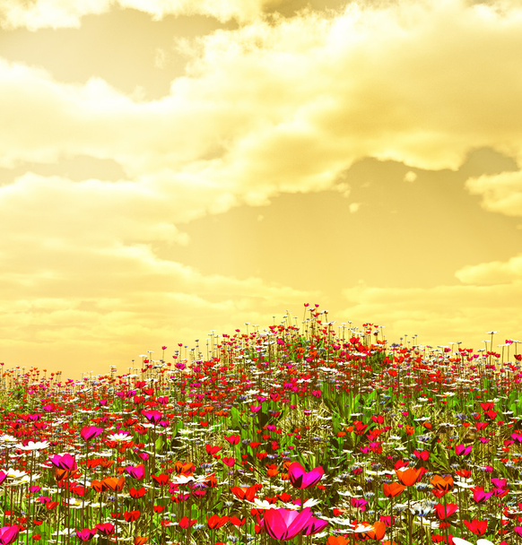 Hermosas flores - Foto, Imagen