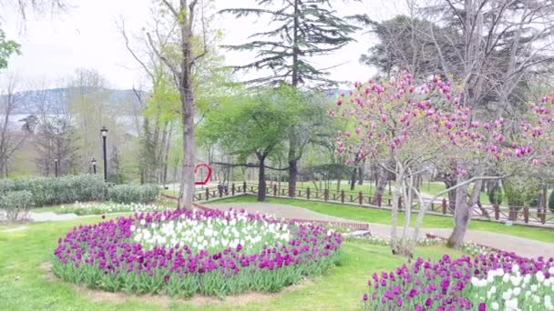 Εμιράτο, Κωνσταντινούπολη, Τουρκία.8 Απριλίου 2024.Πολύχρωμη πηγή της Κωνσταντινούπολης. Φεστιβάλ Tulip Ενθουσιασμός στο Emirgan Grove. Το μεγαλείο της Φύσης Συνάντηση με την ιστορική Richness της Κωνσταντινούπολης. Οι ανοιξιάτικες μέρες χρωματίστηκαν με το φεστιβάλ τουλίπας στο Emirgan Grove.  - Πλάνα, βίντεο