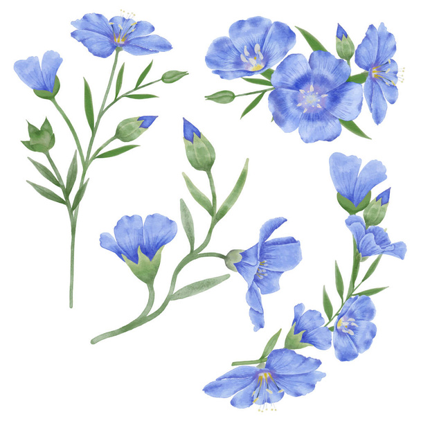 Növelje a tervek ezekkel a gyönyörű akvarell len virágok. Ragadd meg a tavasz lényegét ezzel a botanikai mintával.. - Vektor, kép