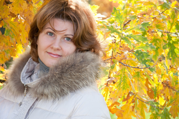 Beautiful young woman in autumn park with the leaves - Valokuva, kuva