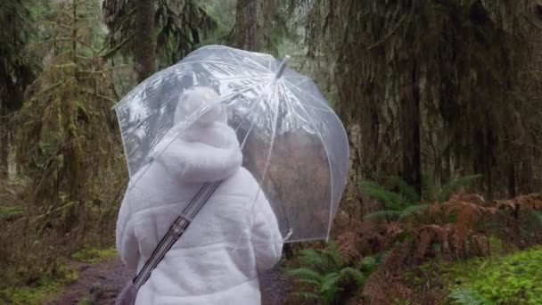 Gyöngyös fehér kabátba burkolózva, egy ember áll egy átlátszó esernyő alatt egy ködös erdő közepén, létrehozva a magány nyugodt tablóját. 4K felvétel.  - Felvétel, videó