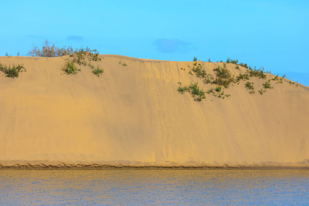Zand Kustduin. Woestijnoase. Woestijn ontmoet zee - Foto, afbeelding