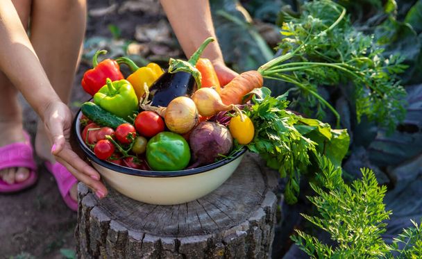 légumes dans un bol sur un chanvre. Aliments bio sains. Légumes biologiques. - Photo, image