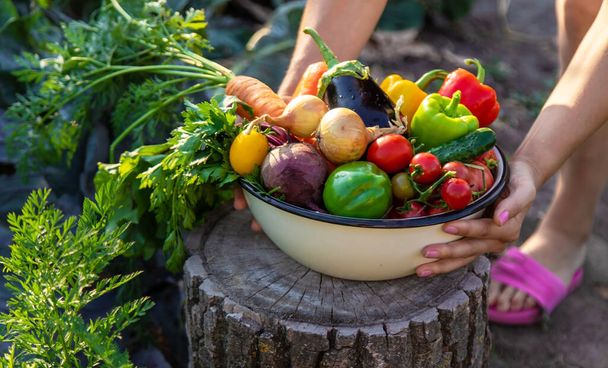 légumes dans un bol sur un chanvre. Aliments bio sains. Légumes biologiques. - Photo, image