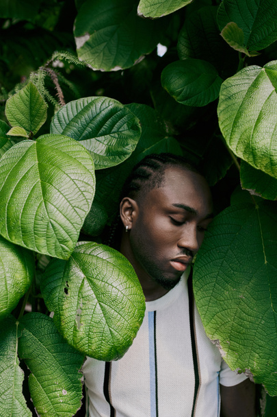 Un homme afro-américain élégant se tient prêt à fermer les yeux au milieu de feuilles vertes luxuriantes. - Photo, image