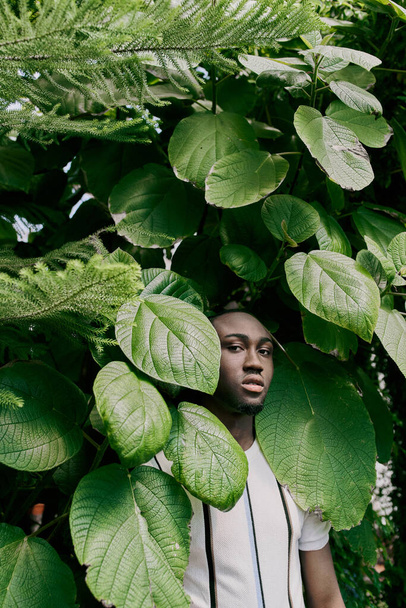 Um homem afro-americano elegante fica confiante na frente de uma árvore verde exuberante. - Foto, Imagem