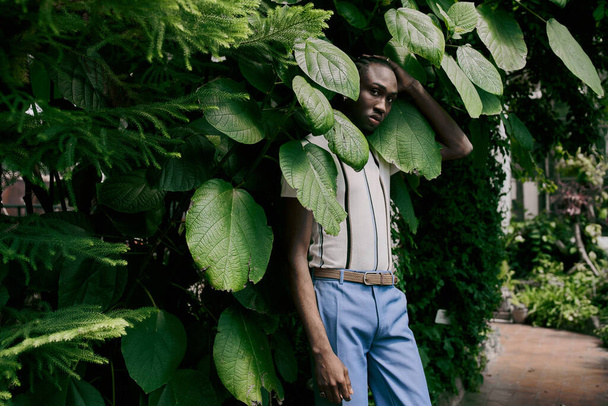 Hienostunut afroamerikkalainen mies seisoo sulavasti elävän vihreän pensaan edessä.. - Valokuva, kuva