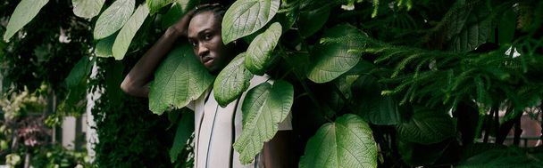 Schöner afroamerikanischer Mann im schicken Stil, umgeben von üppigem Grün. - Foto, Bild