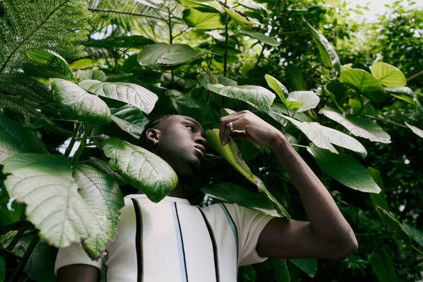 Przystojny Afroamerykanin w eleganckim stroju stojący pośród żywych zielonych liści. - Zdjęcie, obraz