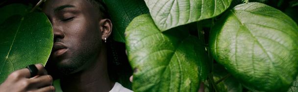 Ένας όμορφος Αφροαμερικάνος με κομψό στυλ κρύβεται πίσω από ένα μεγάλο πράσινο φύλλο σε έναν ζωντανό κήπο.. - Φωτογραφία, εικόνα