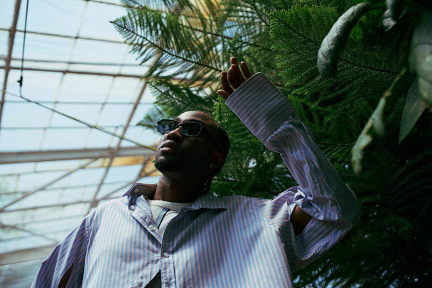 A sophisticated African American man poses in front of a lush palm tree. - Photo, Image