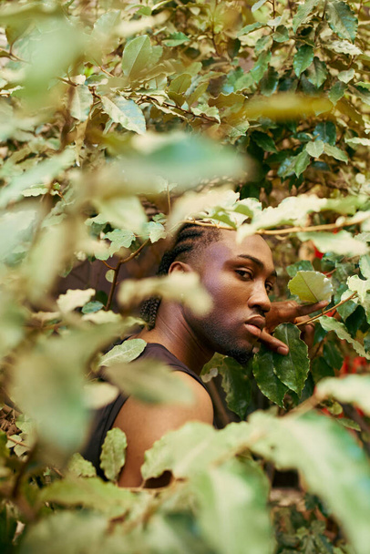 Przystojny Afroamerykanin z wyrafinowanym stylem ukrywający się wśród bujnych zielonych liści drzew. - Zdjęcie, obraz