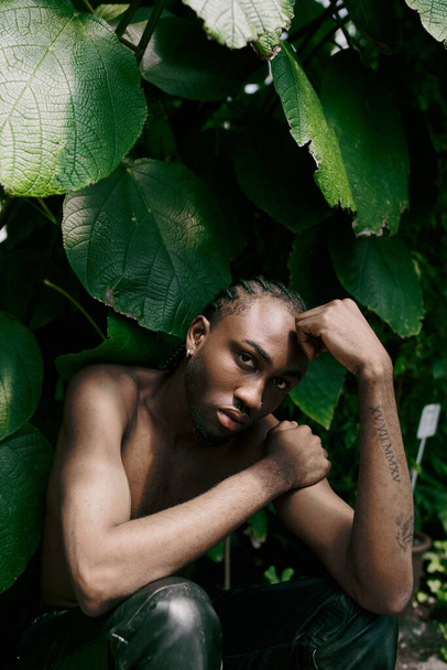 Shirtless man with dapper style relaxing by lush green leaves. - Photo, Image
