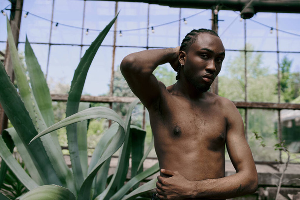 活気に満ちた植物の前に立っているダッパー様式のハンサムなアフリカ系アメリカ人男性. - 写真・画像
