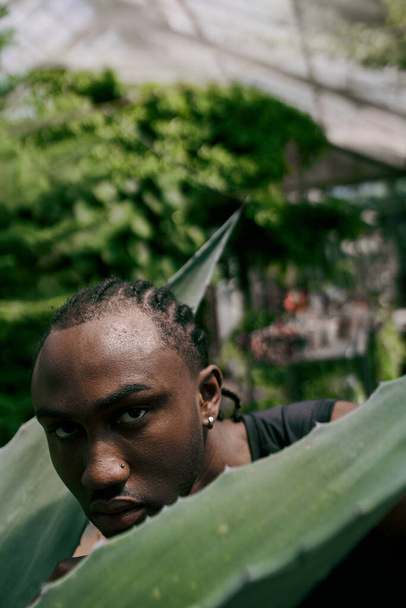 Egy kifinomult afro-amerikai férfi rasztával áll egy nagy, élénk zöld levél mögött a kertben.. - Fotó, kép