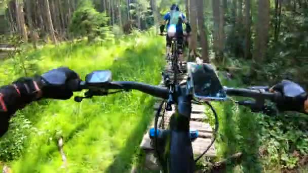 Από την οπτική γωνία. Δύο ποδηλάτες ιππεύουν ηλεκτρικά ποδήλατα βουνού στο δάσος. Smartphone στο τιμόνι του ποδηλάτου. Έννοια της περιπέτειας, ελεύθερος χρόνος σε εξωτερικούς χώρους. - Πλάνα, βίντεο