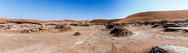 hermoso paisaje de Hidden Vlei en Namib desierto panorama - Foto, Imagen