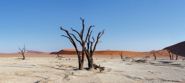 prachtig landschap van Verborgen Vlei in Namib woestijn panorama - Foto, afbeelding
