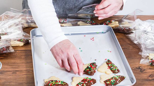 Ostrożnie opakowanie Christmas cutout ciasteczka, pół zanurzone w czekoladzie i przedstawione w jasnym opakowaniu celofan, idealny do świątecznego prezentu. - Zdjęcie, obraz