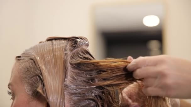 Κοντινό πλάνο κομμωτή που βάζει μπογιά σε γυναικεία μαλλιά με βούρτσα. Χρωματισμός μαλλιών με επαγγελματικά χρώματα χωρίς αμμωνία. - Πλάνα, βίντεο