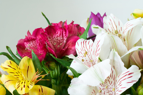 Basket of flowers - Фото, зображення