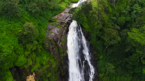 A beautiful waterfall among the rainforest and vegetation. Devon Falls, Sri Lanka. - Footage, Video