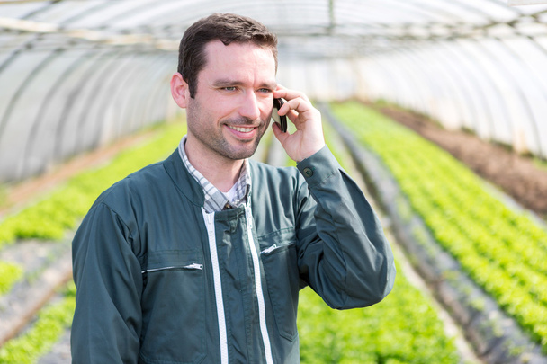 Portrait of an attractive farmer in a greenhouse using mobile - Foto, afbeelding