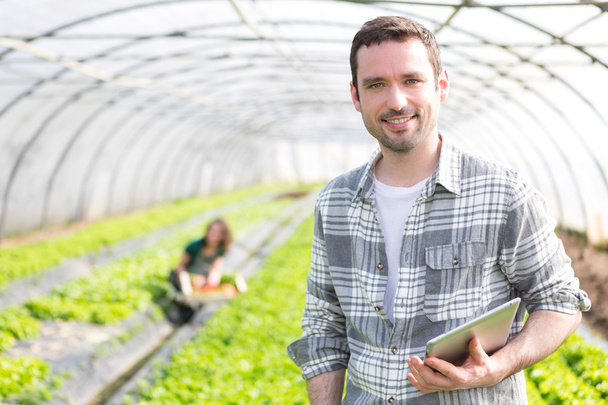 Portrait of an attractive farmer in a greenhouse using tablet - Photo, image