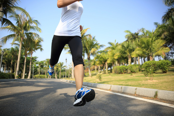 Nogi kobiece jogger fitness w tropikalnym parku. Koncepcja fitness. - Zdjęcie, obraz