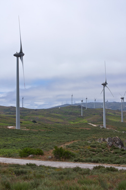 Wind farm - Photo, Image