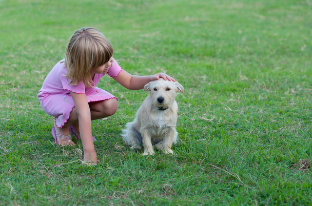 Маленька дівчинка грає з маленькою білою собакою
. - Фото, зображення