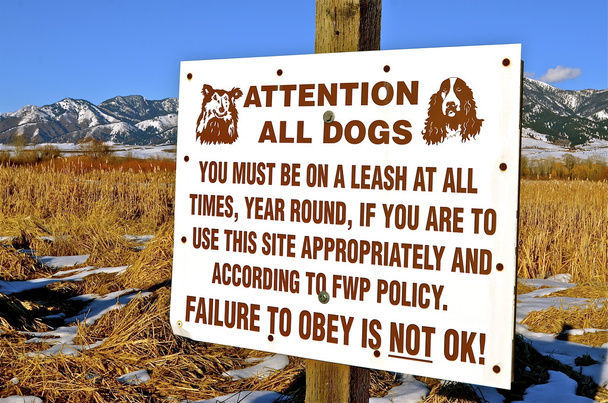 Sign for literate dogs - Photo, Image