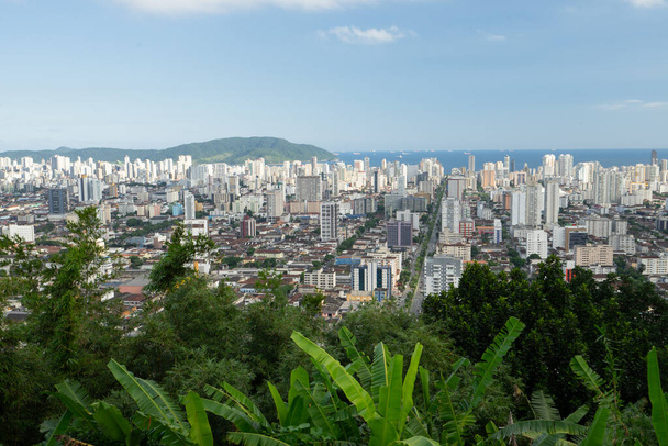 L'horizon de Santos avec des arbres au premier plan. Santos, Brésil. - Photo, image