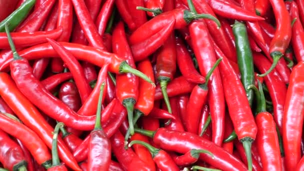 red chili pepper display for sale in singapore retail market , - Filmati, video