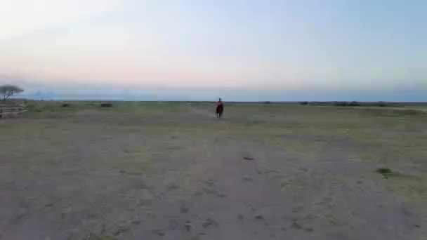 Egy cowboy lovagol naplementekor. vágtató ló - Felvétel, videó