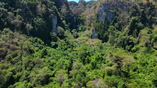 緑豊かな熱帯の山の風景. 青空のスピードの下で濃い緑に覆われた活気に満ちた熱帯マウンテン地形のパノラマビュー ハイパーラプスモーションラプス  - 映像、動画