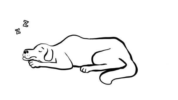 2D-Animationsgrafik, die einen am Boden liegenden Hund schnarchend mit Z-Buchstaben auf weißem Bildschirm mit schwarzem Hintergrund in 4k Ultra-High-Definition zeigt. - Filmmaterial, Video
