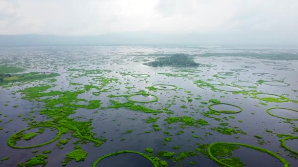 Aerial view loktak lake is the largest freshwater lake and thanga village in India as well as the largest lake in manipur north east India. - Footage, Video